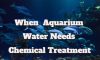 When And How Much Aquarium Water Needs Chemical Treatment