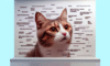 Cat Meme Guide: How to Secure Feline Internet Fame