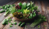 Fresh Summer Salad: A Vibrant Guide to Seasonal Flavours
