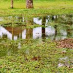 Stormwater Drain Solutions: Understanding Causes in Wollongong