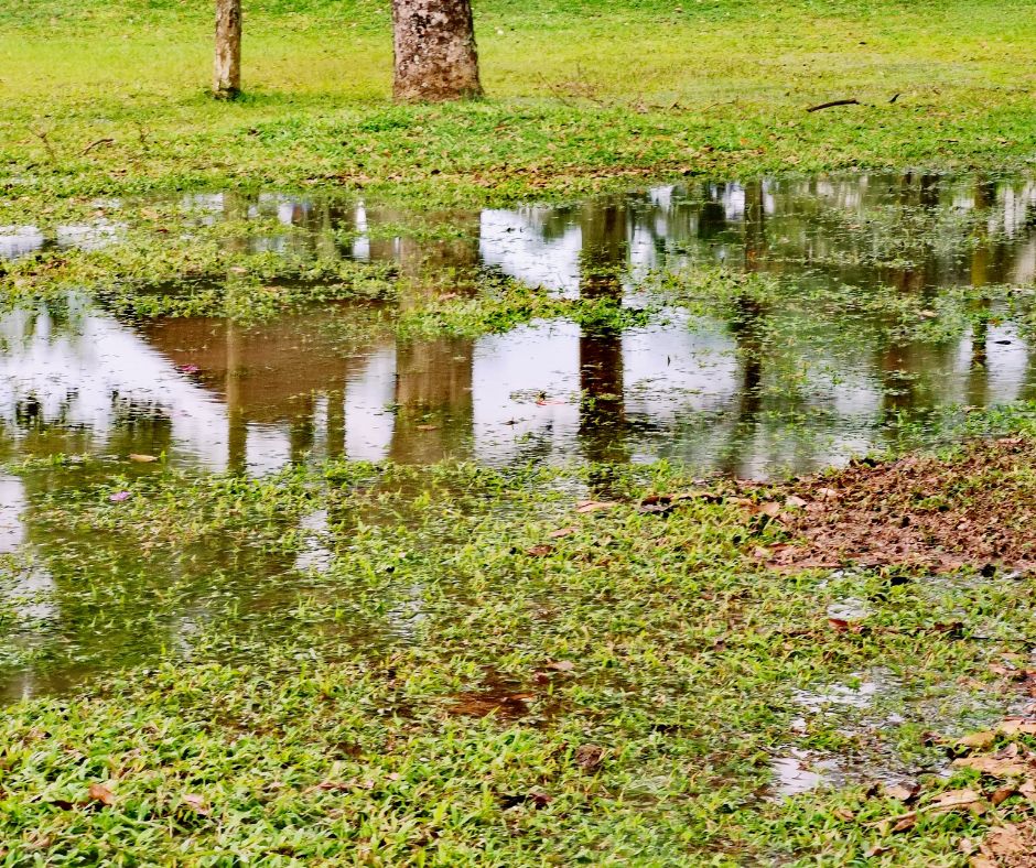 Stormwater Drain Solutions: Understanding Causes in Wollongong