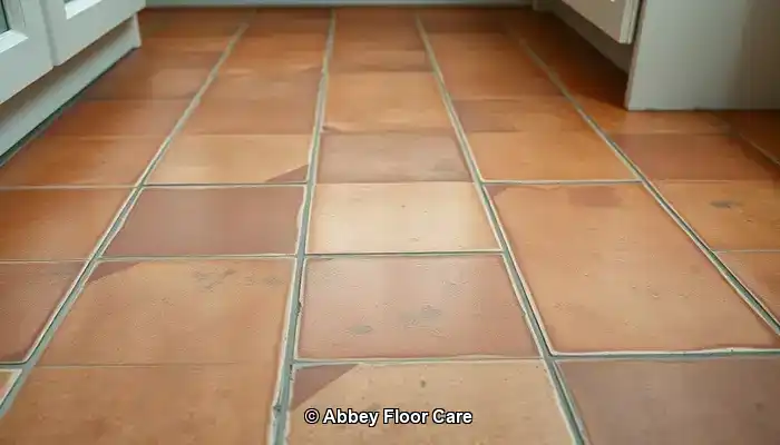 What Factors Lead to Quick Dirt Build-Up on Terracotta Floors?