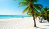 Belize January: Weather, Prices, Crowds, and Activities