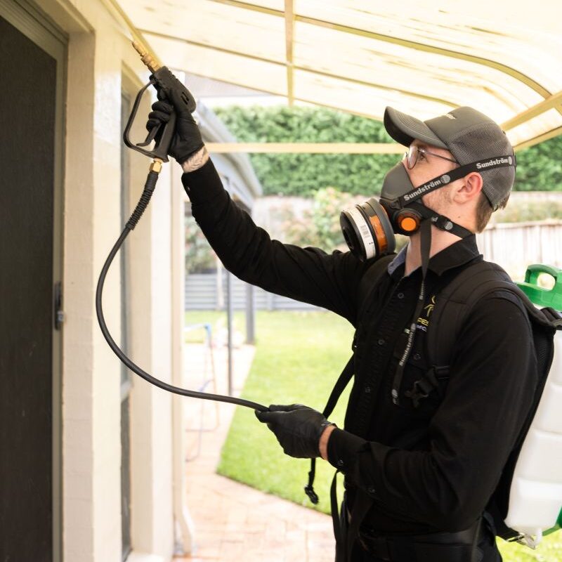 Roof Dusting Pest Control: The Case for Minimal Use