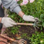 Weeding Services in Queen Camel: Top Tips and Providers