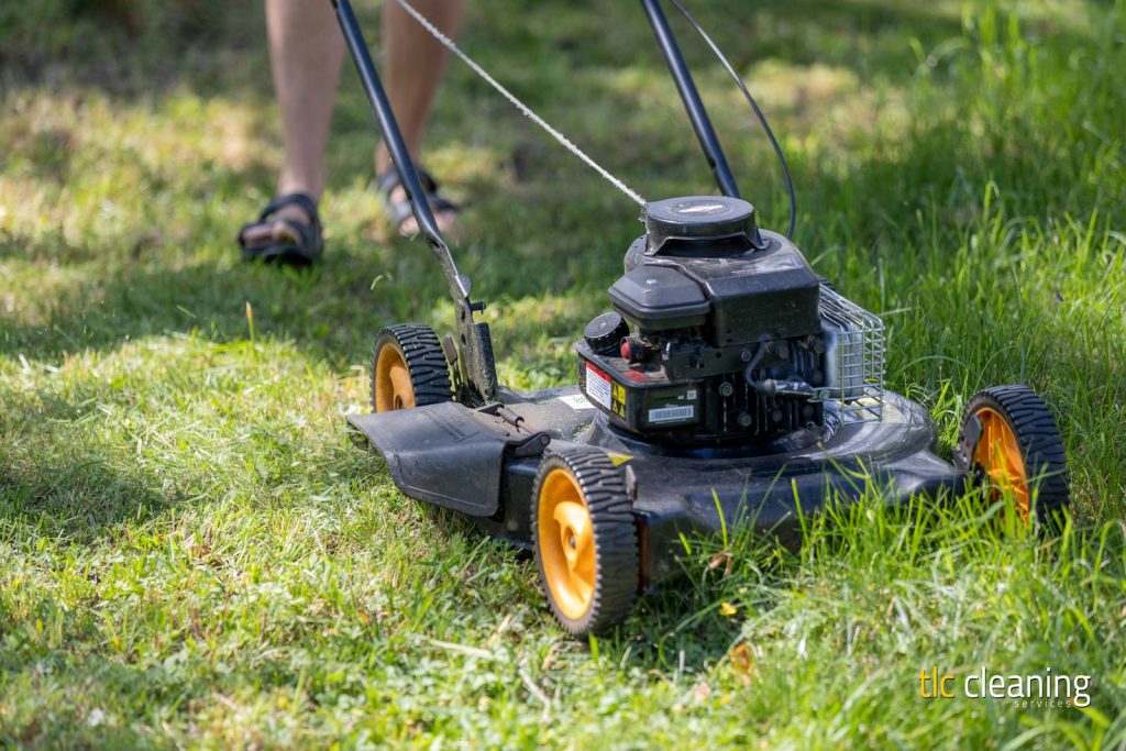 Grass Cutting Services for Yeovil: Essential Tips